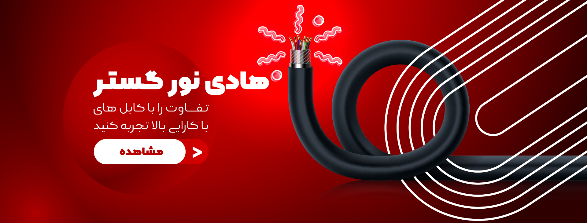 هادی نور گستر
